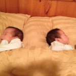 Twins baby boys